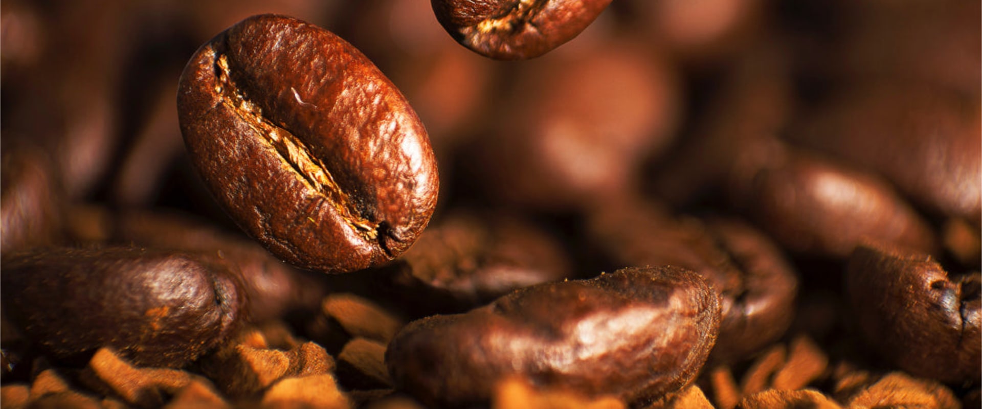 All About Robusta Coffee Beans