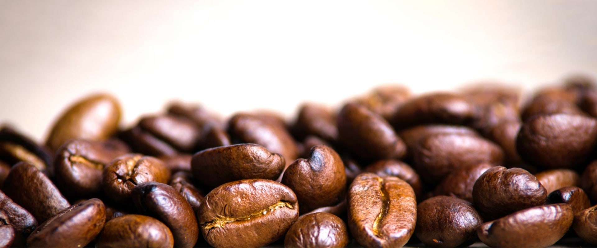 The Fascinating Origins of Arabica Coffee Beans