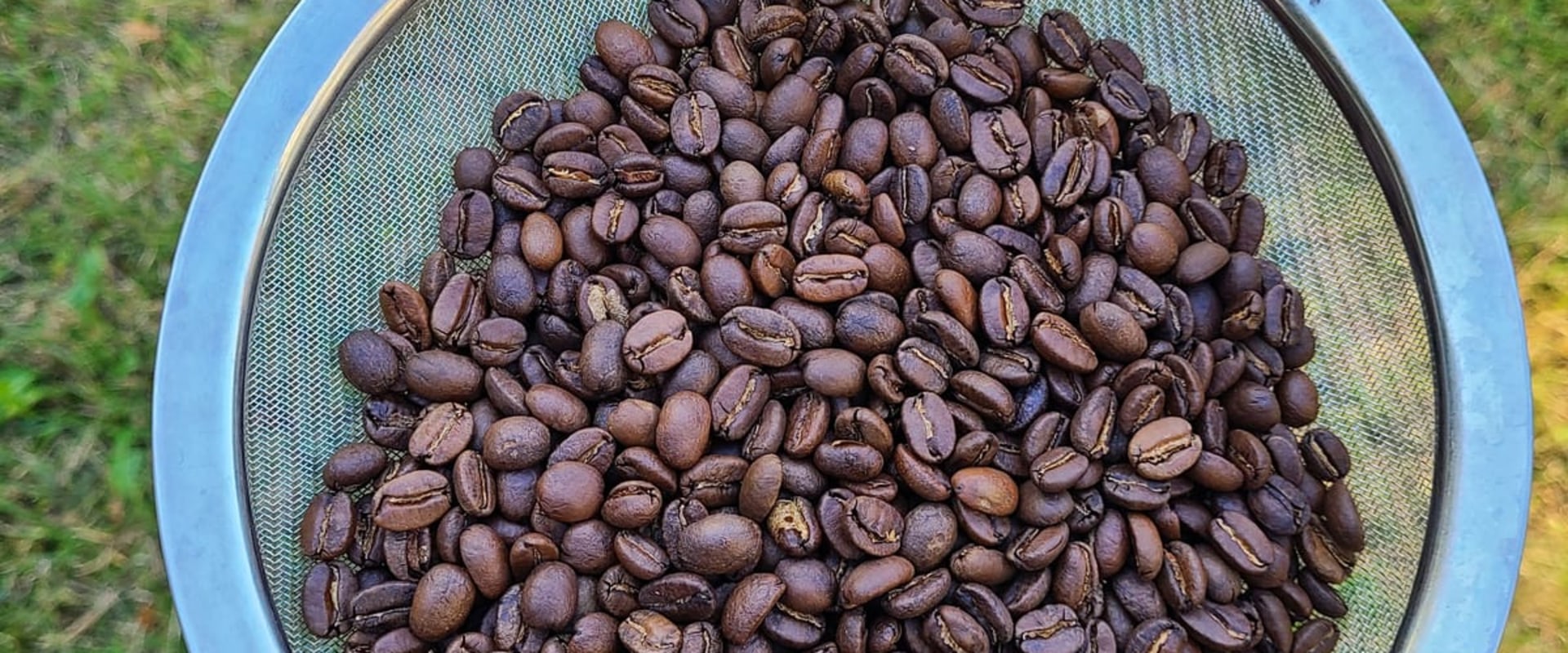 A Beginner's Guide to Medium Roast Coffee