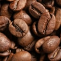 All You Need to Know About Cultivation and Processing of Arabica Coffee Beans