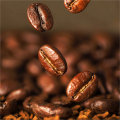 All About Robusta Coffee Beans